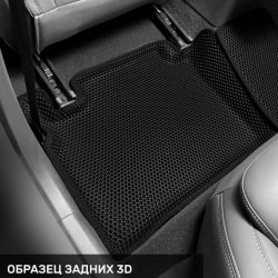 Левый пассажир