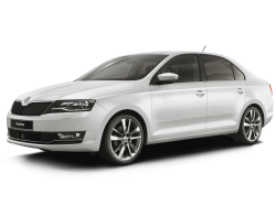 2D коврики EVA в салон и багажник на Skoda Rapid I (2012-2020)
